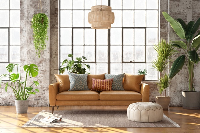 The Best Indoor Plants for Air Quality