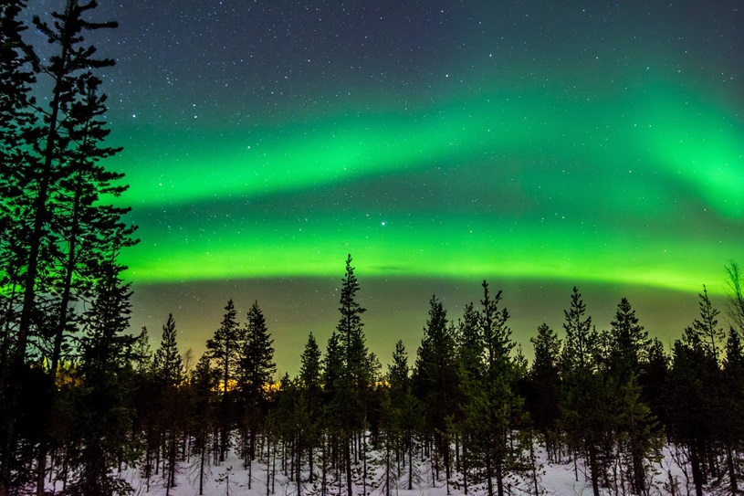 Image of northern lights above a forest.